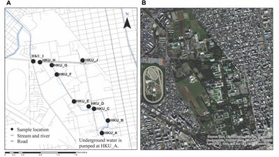 Comparison of Database Search Methods for the Detection of Legionella pneumophila in Water Samples Using Metagenomic Analysis